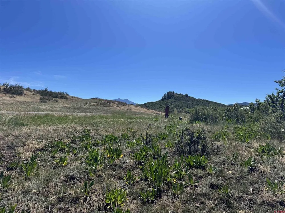 764 Irwins Place Chromo, CO 81128