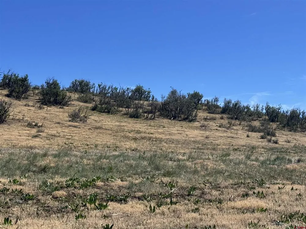 764 Irwins Place Chromo, CO 81128