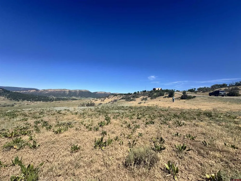 764 Irwins Place Chromo, CO 81128