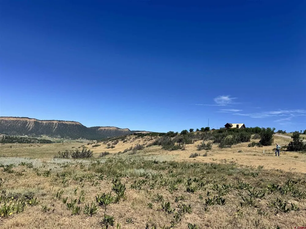 764 Irwins Place Chromo, CO 81128