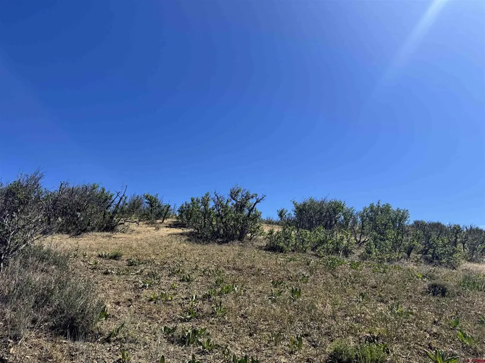 764 Irwins Place Chromo, CO 81128