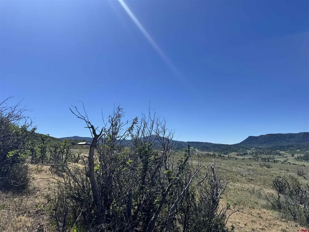 764 Irwins Place Chromo, CO 81128