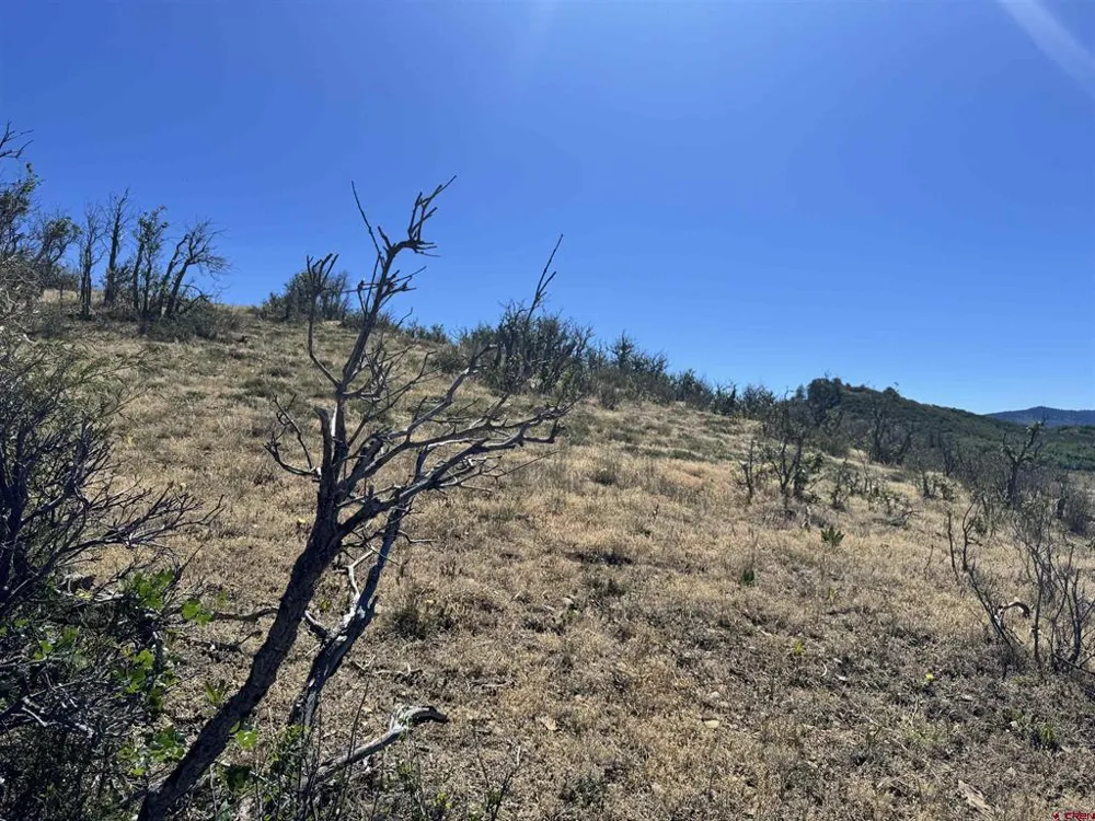 764 Irwins Place Chromo, CO 81128