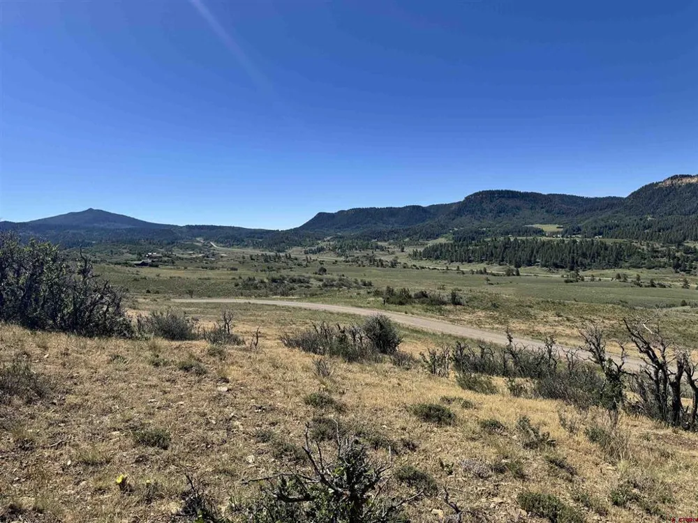 764 Irwins Place Chromo, CO 81128