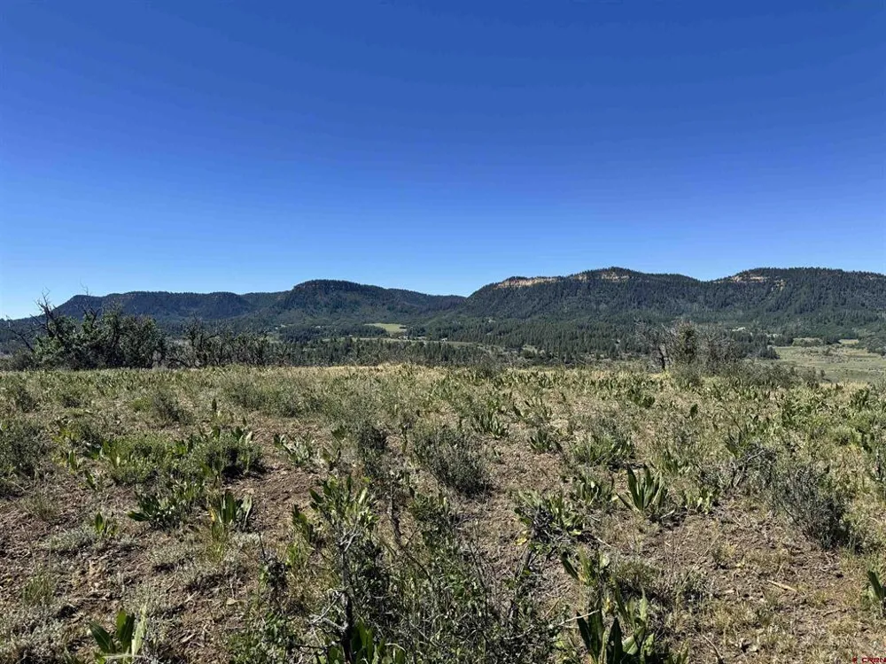 764 Irwins Place Chromo, CO 81128