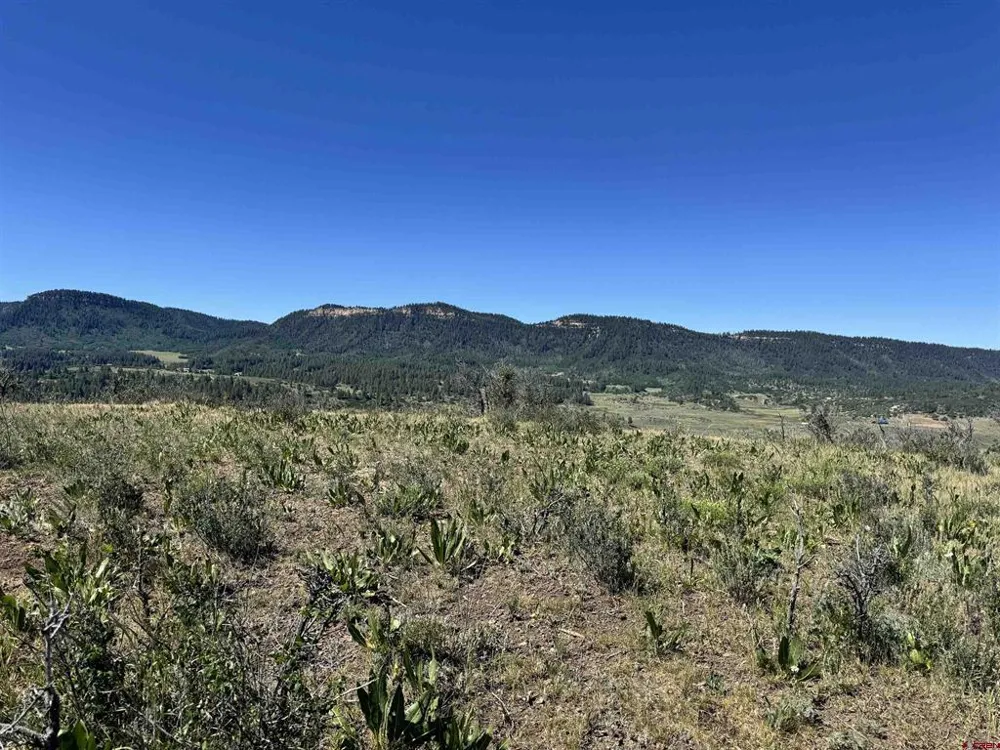 764 Irwins Place Chromo, CO 81128