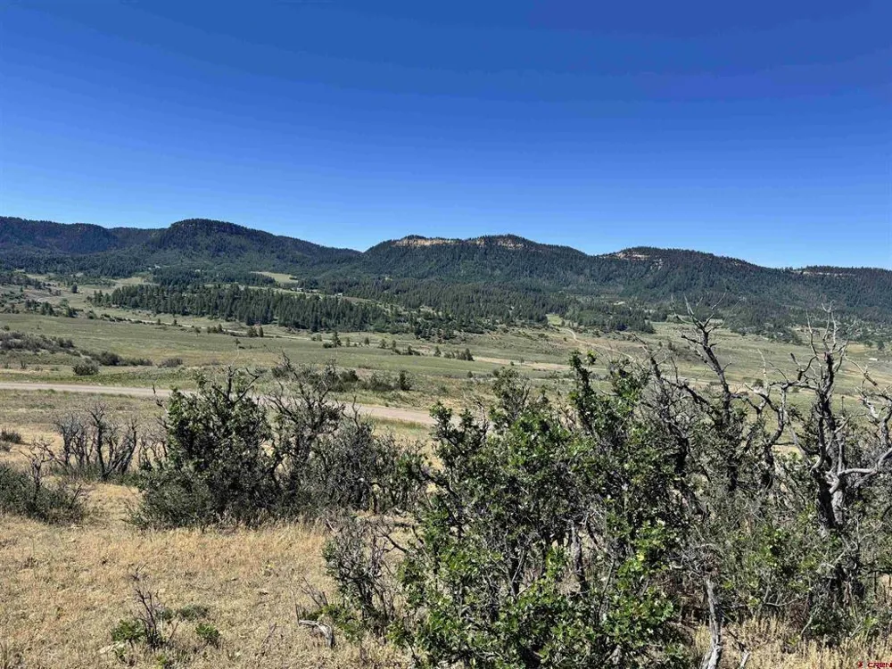 764 Irwins Place Chromo, CO 81128