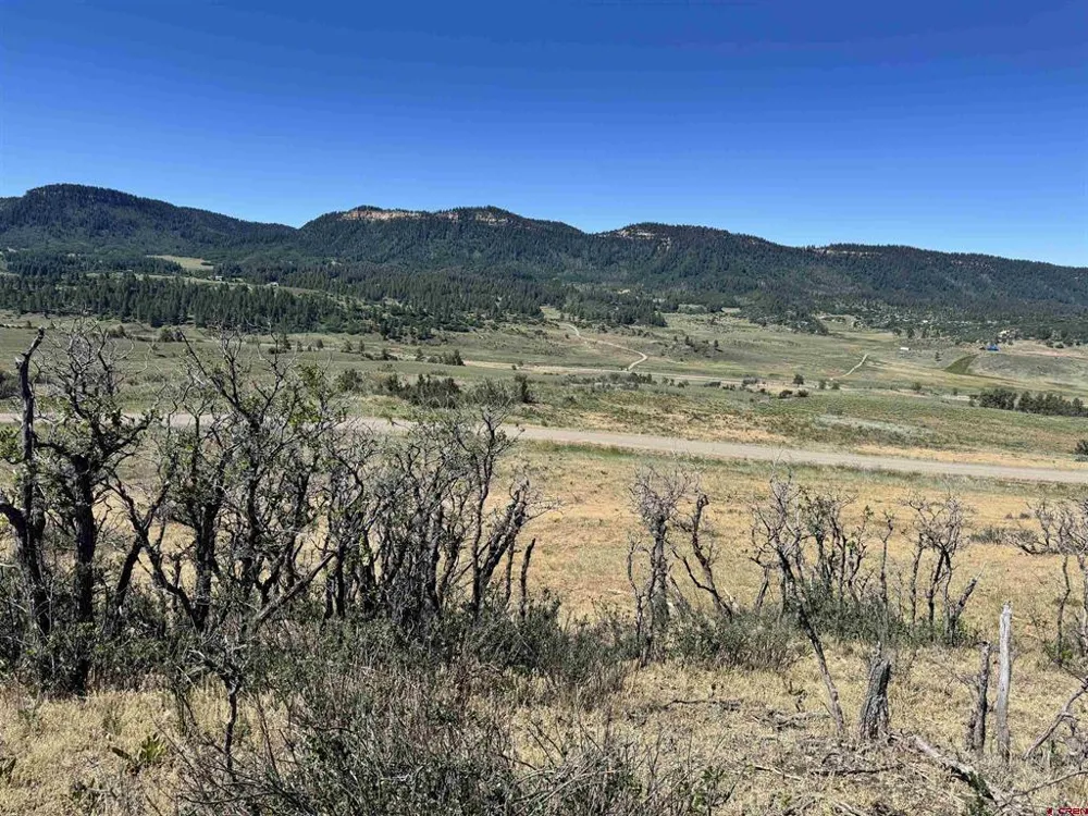 764 Irwins Place Chromo, CO 81128