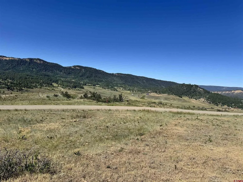 764 Irwins Place Chromo, CO 81128