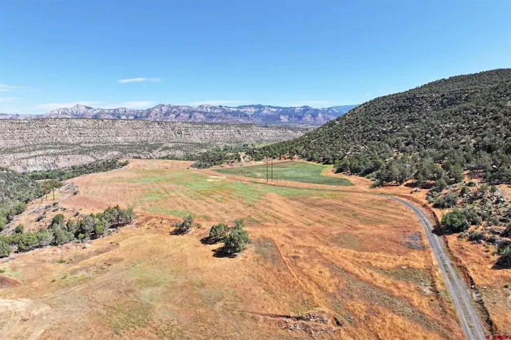 5402 KE ROAD Collbran, CO 81624