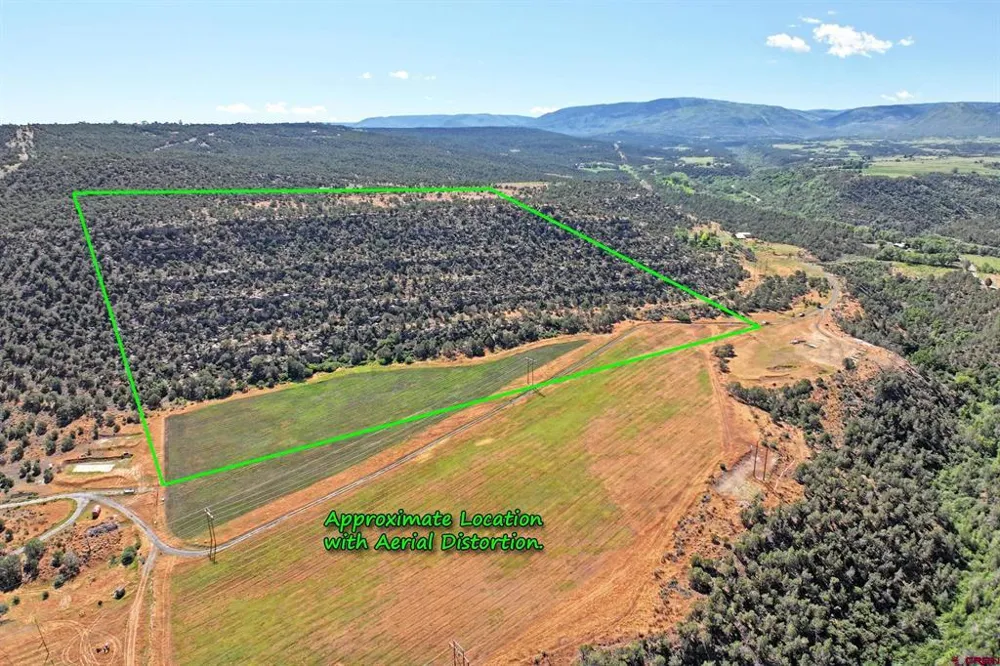 5402 KE ROAD Collbran, CO 81624