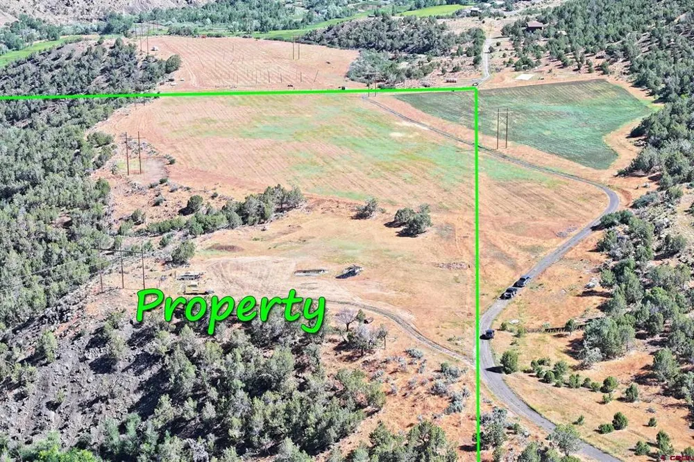 5402 KE ROAD Collbran, CO 81624