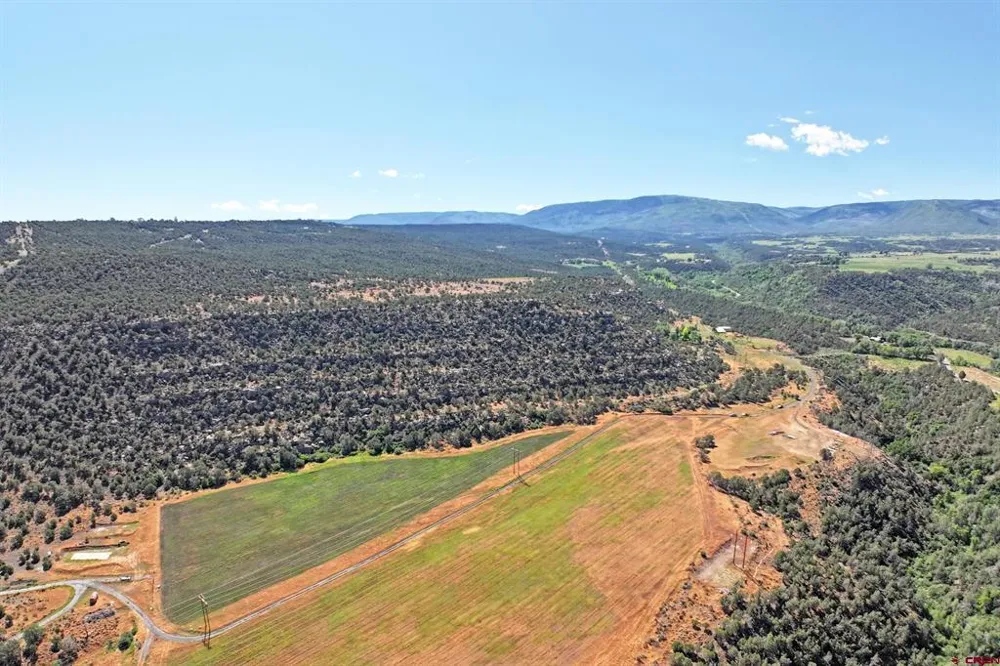 5402 KE ROAD Collbran, CO 81624