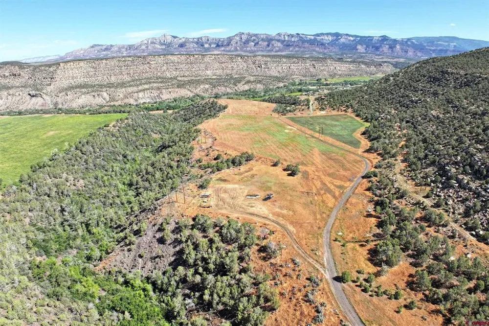 5402 KE ROAD Collbran, CO 81624