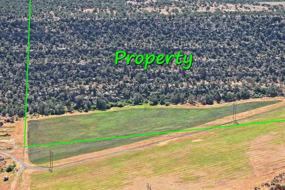 5402 KE ROAD Collbran, CO 81624