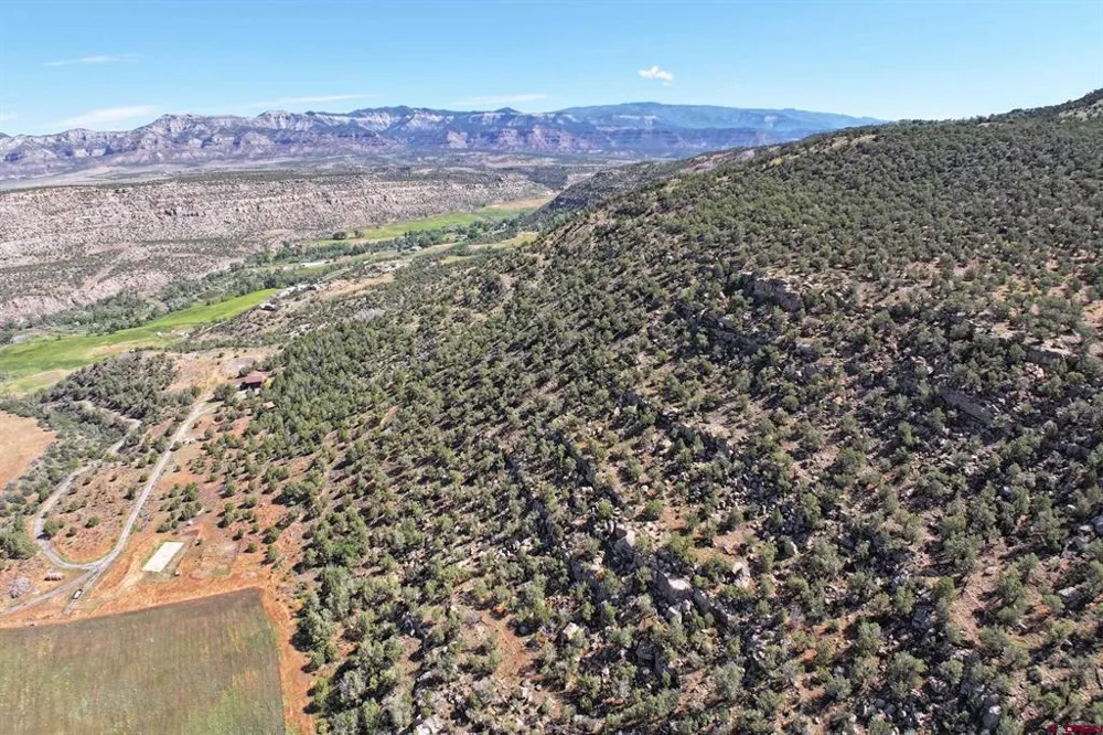 5402 KE ROAD Collbran, CO 81624