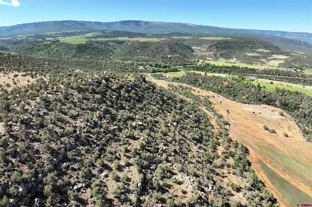 5402 KE ROAD Collbran, CO 81624