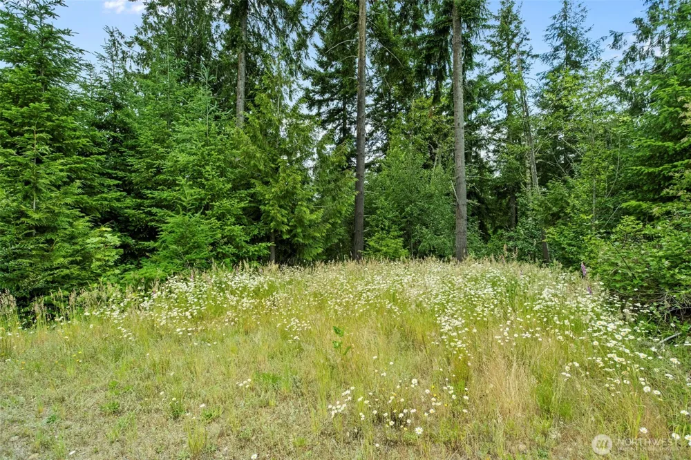 104 Bootjack Lane Kelso, WA 98626