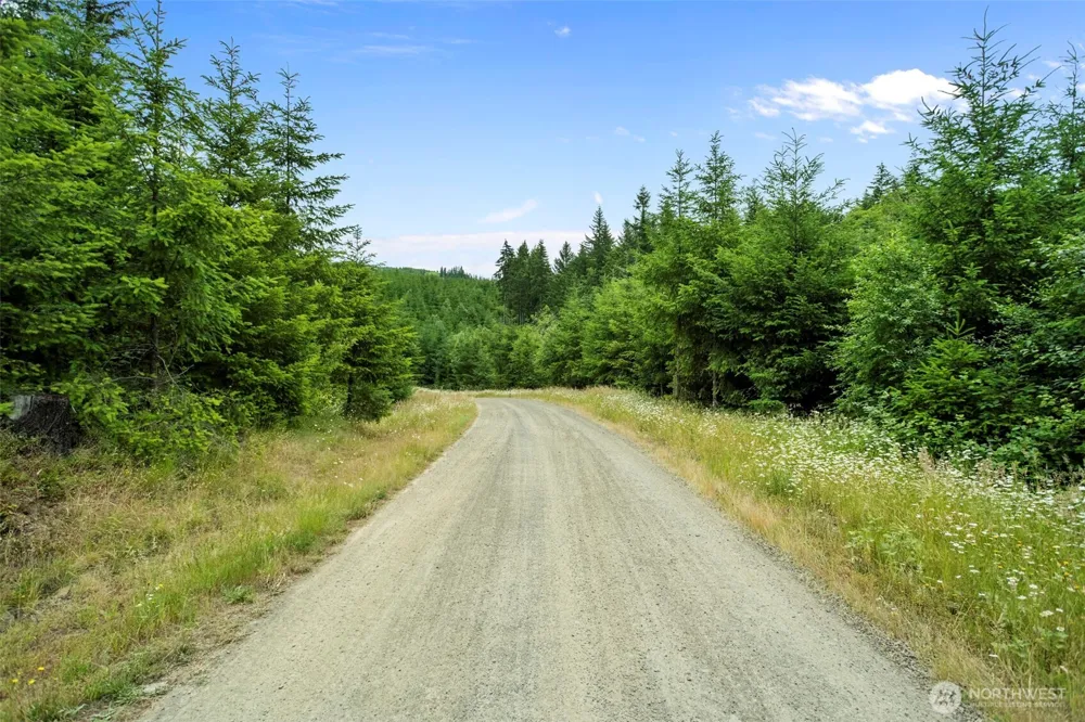 104 Bootjack Lane Kelso, WA 98626