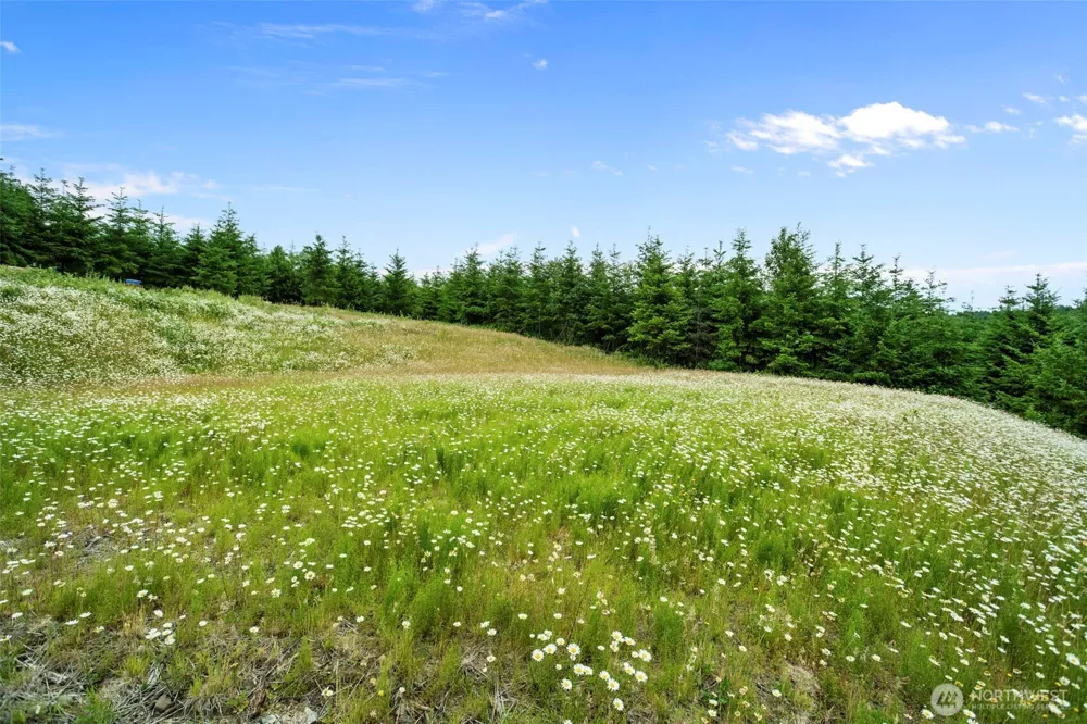 104 Bootjack Lane Kelso, WA 98626