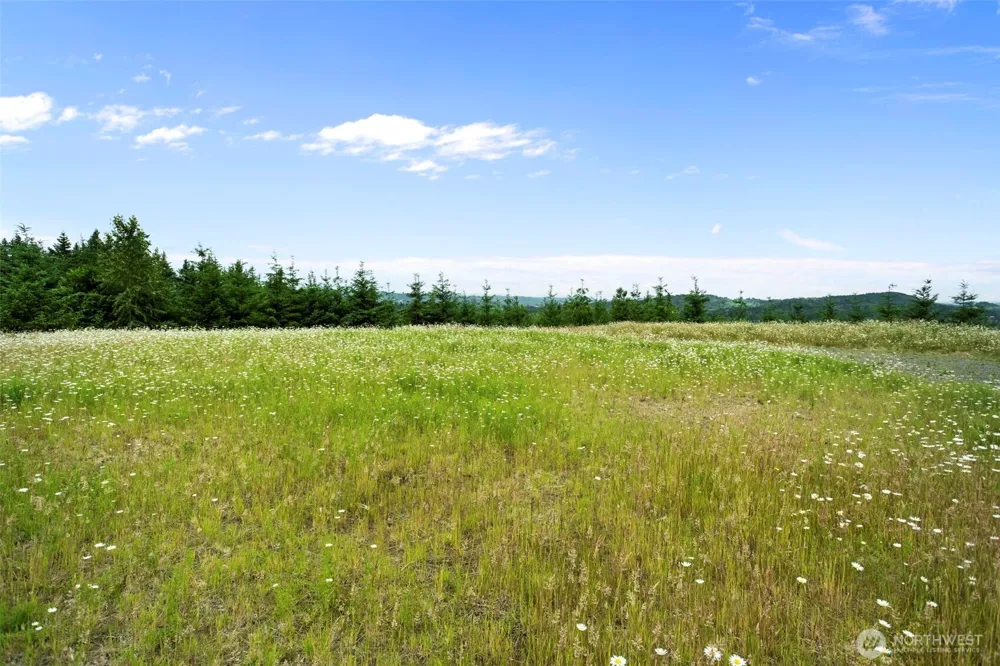 104 Bootjack Lane Kelso, WA 98626
