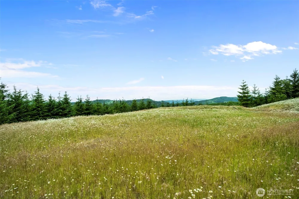 104 Bootjack Lane Kelso, WA 98626