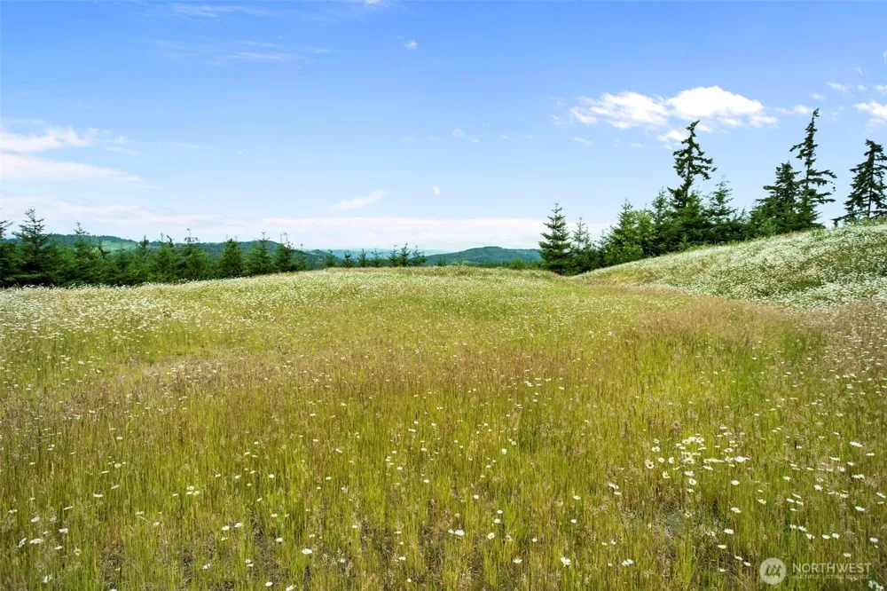 104 Bootjack Lane Kelso, WA 98626