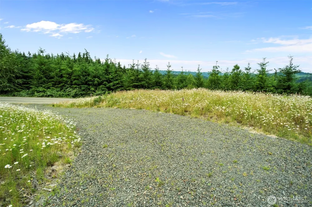 104 Bootjack Lane Kelso, WA 98626