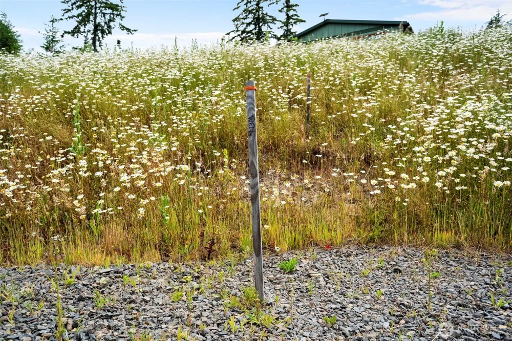104 Bootjack Lane Kelso, WA 98626