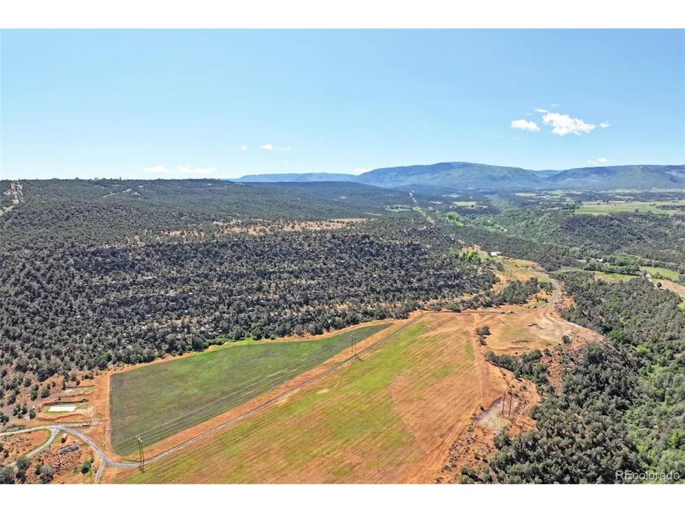5402 KE2 ROAD Collbran, CO 81624