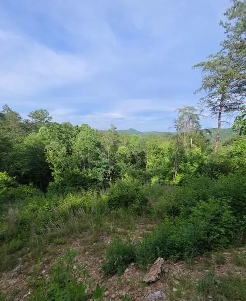 95 Ridgeline Lane Mineral Bluff, GA 30559