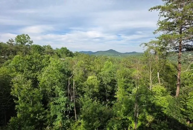 95 Ridgeline Lane Mineral Bluff, GA 30559