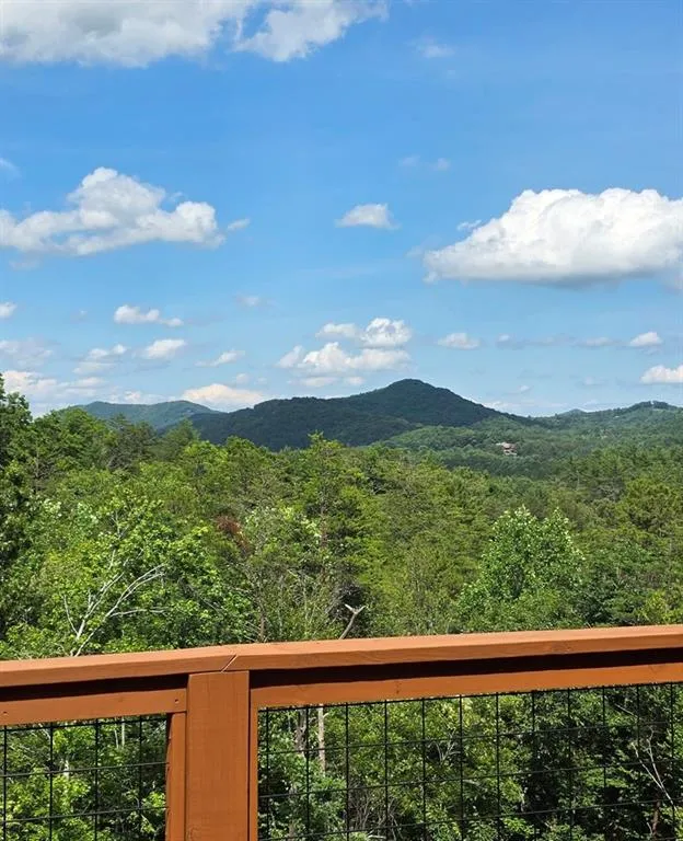 95 Ridgeline Lane Mineral Bluff, GA 30559
