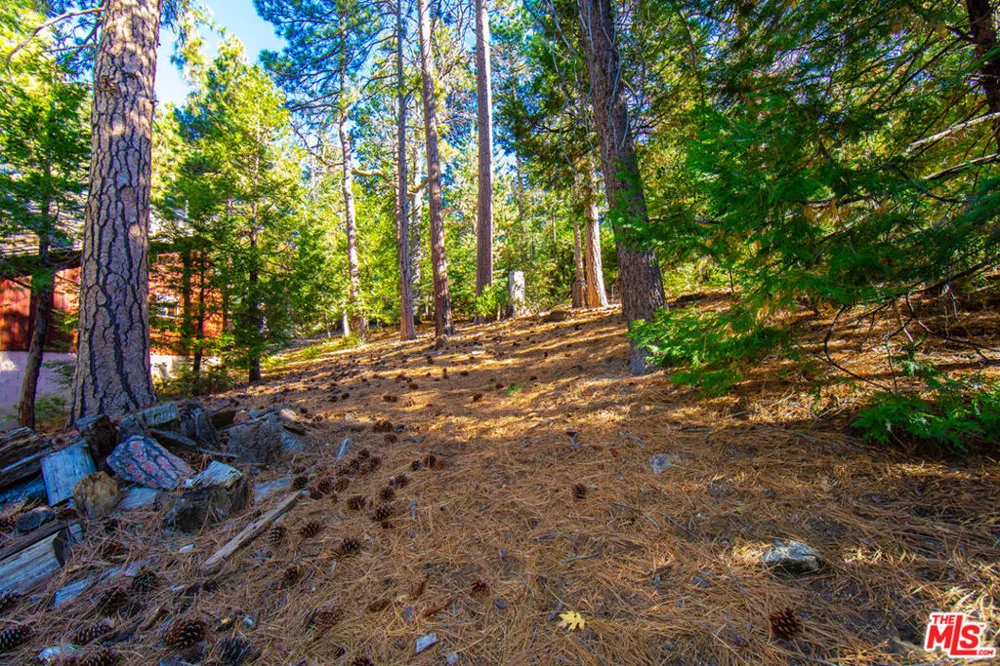25270 Nestwa Trail Idyllwild, CA 92549