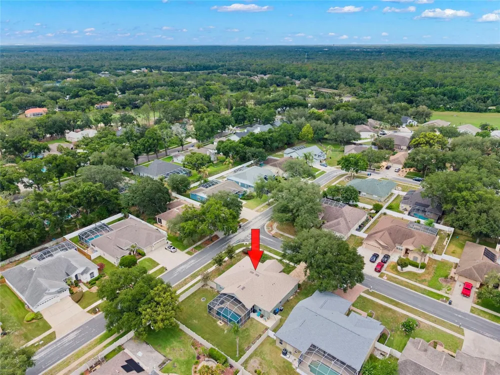 4038 LITHIA RIDGE BOULEVARD Valrico, FL 33596