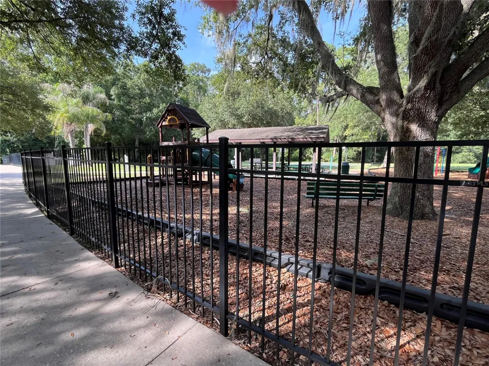 4038 LITHIA RIDGE BOULEVARD Valrico, FL 33596