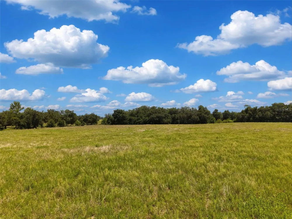000 SE 200 AVENUE SE Morriston, FL 32668