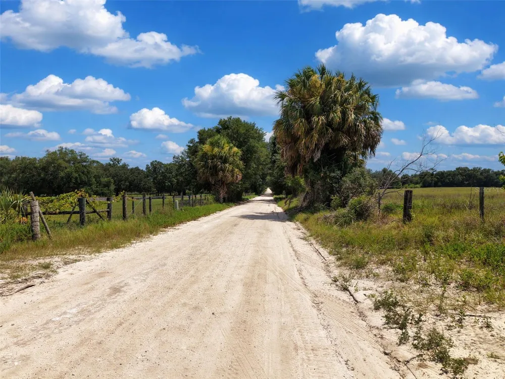 000 SE 200 AVENUE SE Morriston, FL 32668