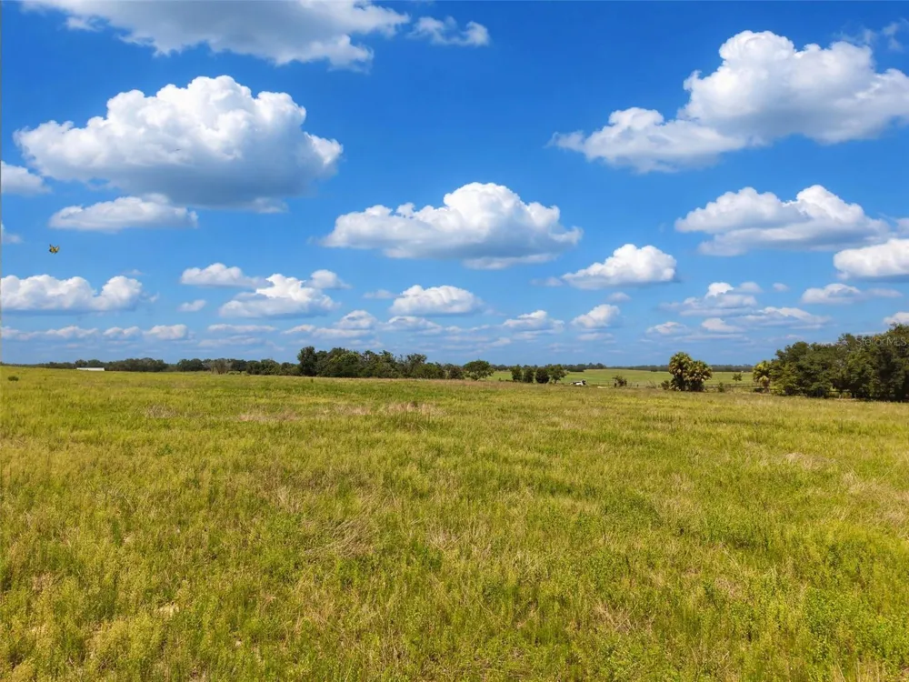 000 SE 200 AVENUE SE Morriston, FL 32668