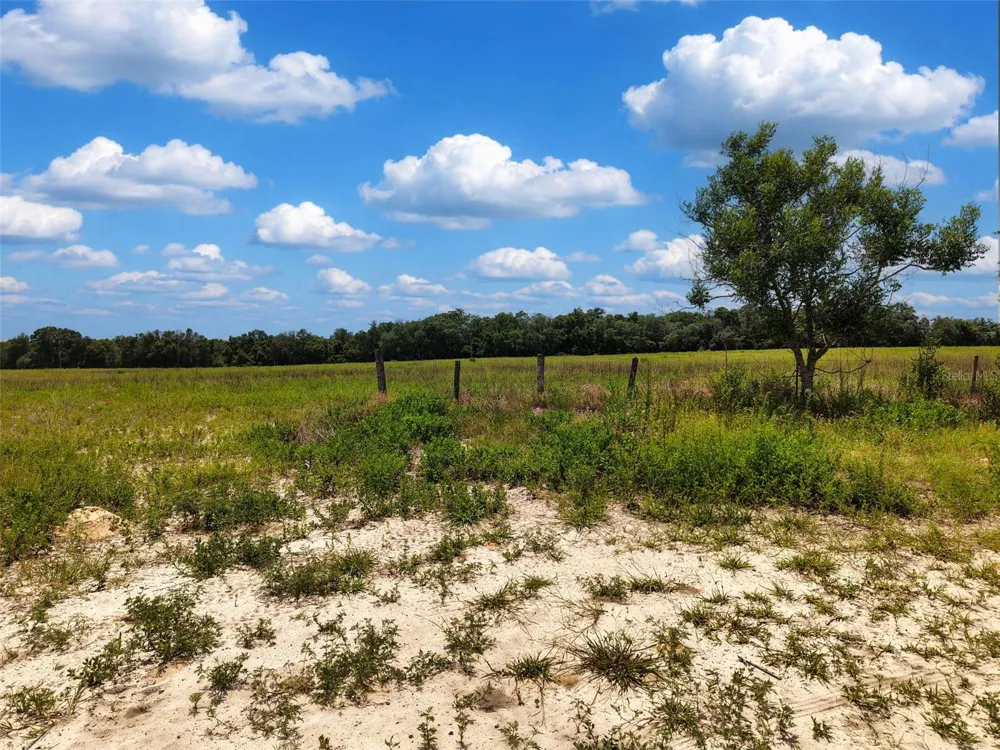 000 SE 200 AVENUE SE Morriston, FL 32668