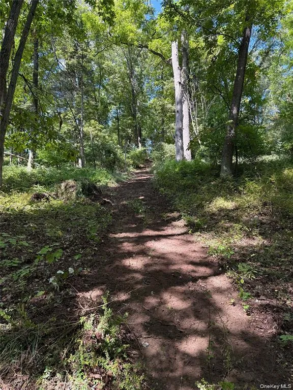 16 Almond Tree Lane Warwick, NY 10990