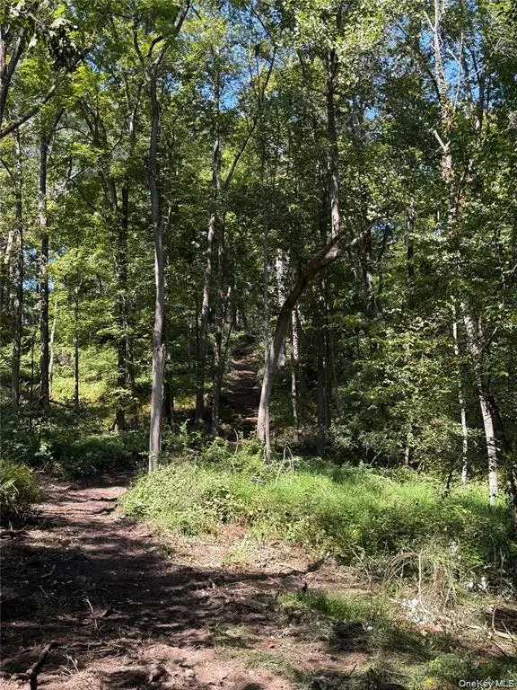 16 Almond Tree Lane Warwick, NY 10990