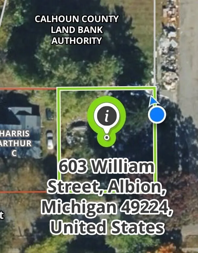 603 Williams Street Albion, MI 49224
