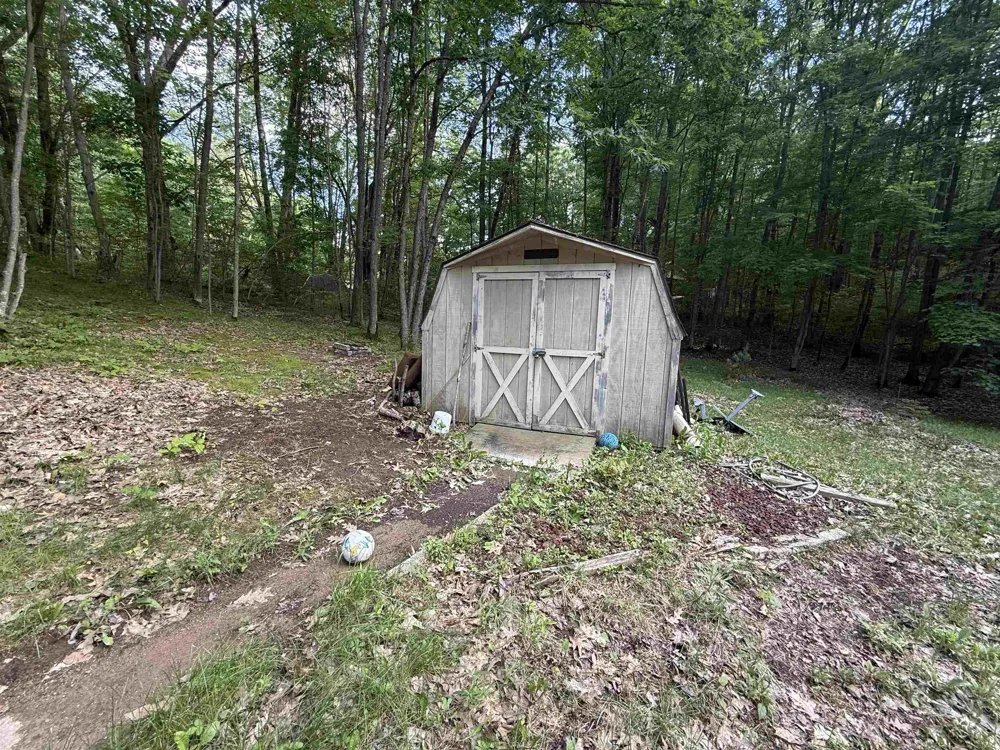 189 Forest Trail Le Roy Township, MI 49655
