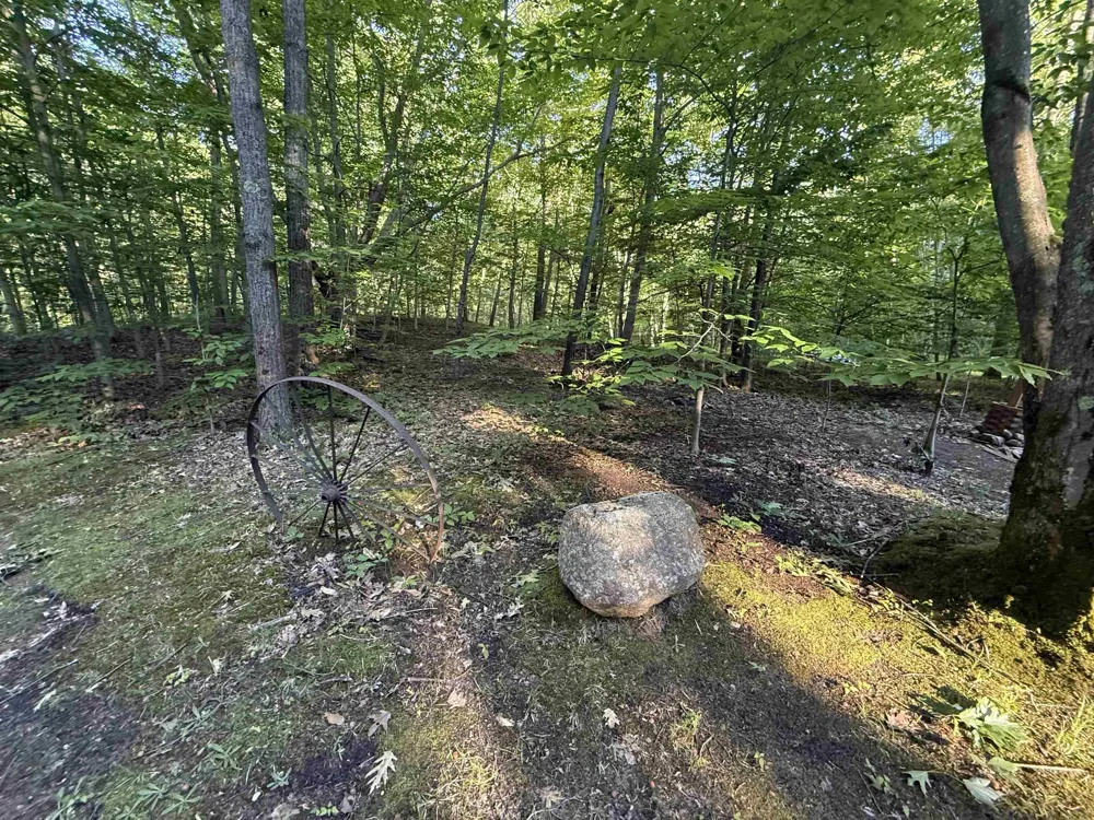 189 Forest Trail Le Roy Township, MI 49655
