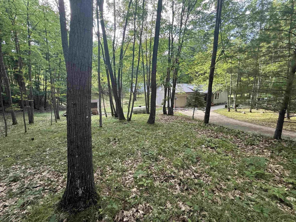 189 Forest Trail Le Roy Township, MI 49655