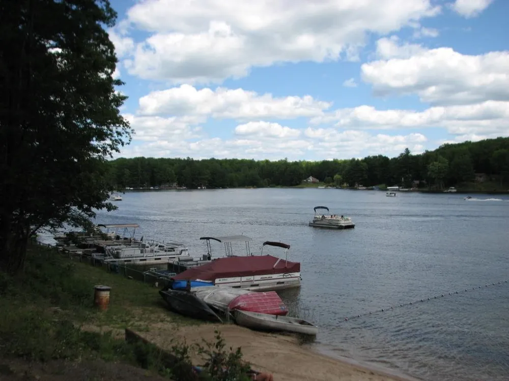189 Forest Trail Le Roy Township, MI 49655