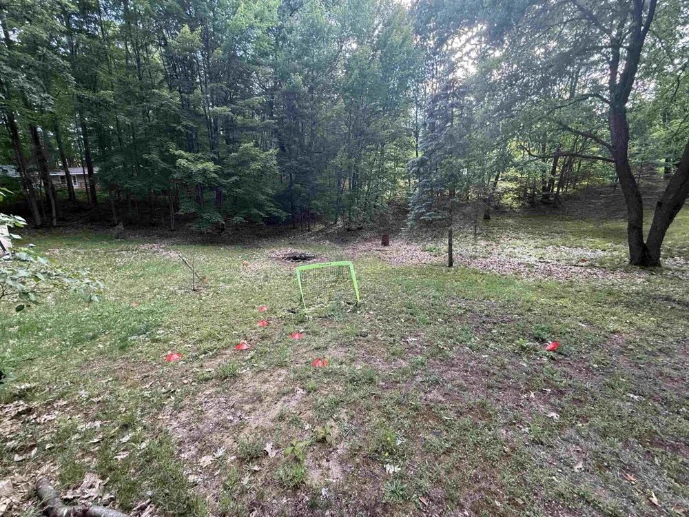 189 Forest Trail Le Roy Township, MI 49655