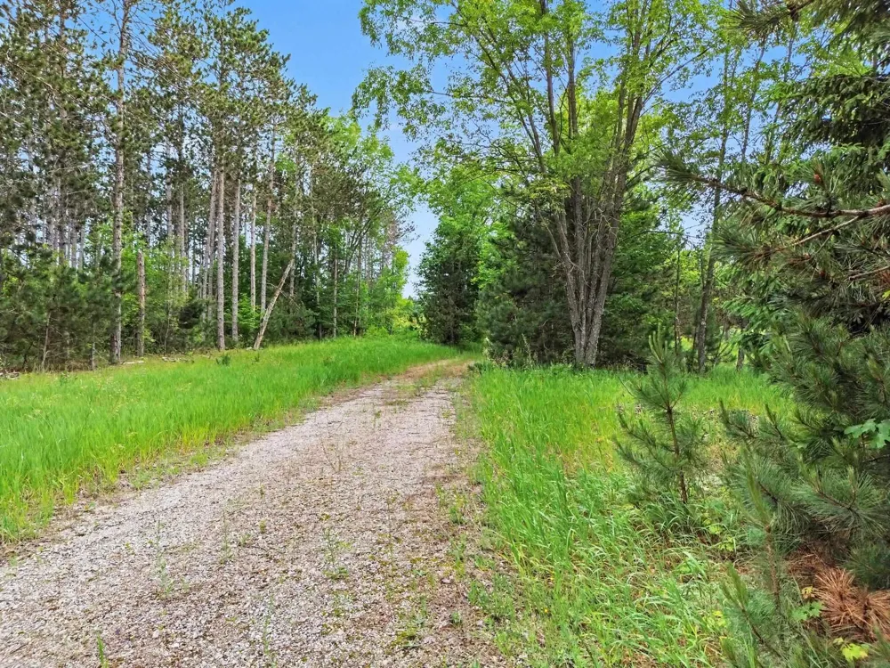 W 12 1/2 ROAD Wexford Township, MI 49668