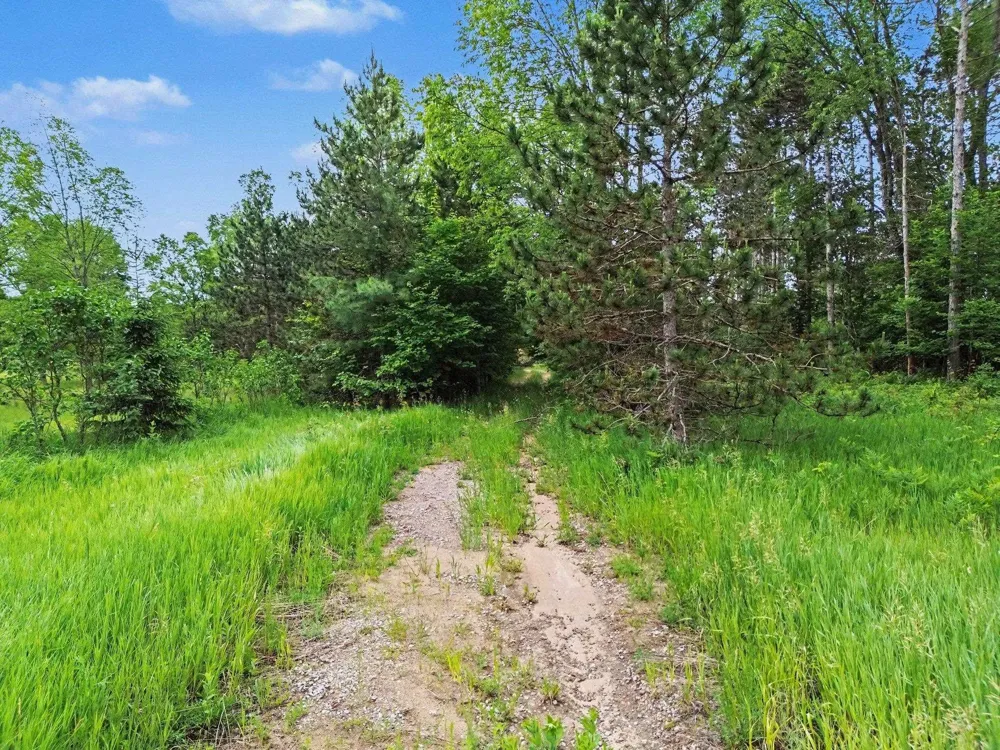 W 12 1/2 ROAD Wexford Township, MI 49668